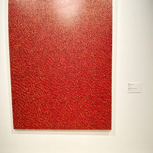 森美術館で見た『STARS展』世界レベルの現代アート草間彌生